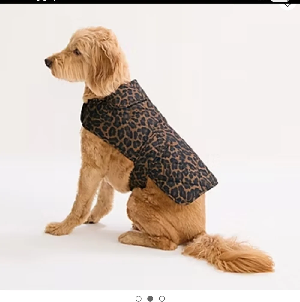 St Johns Bark  Animal Dog Coat  Sz L NWT Cheetah  Print